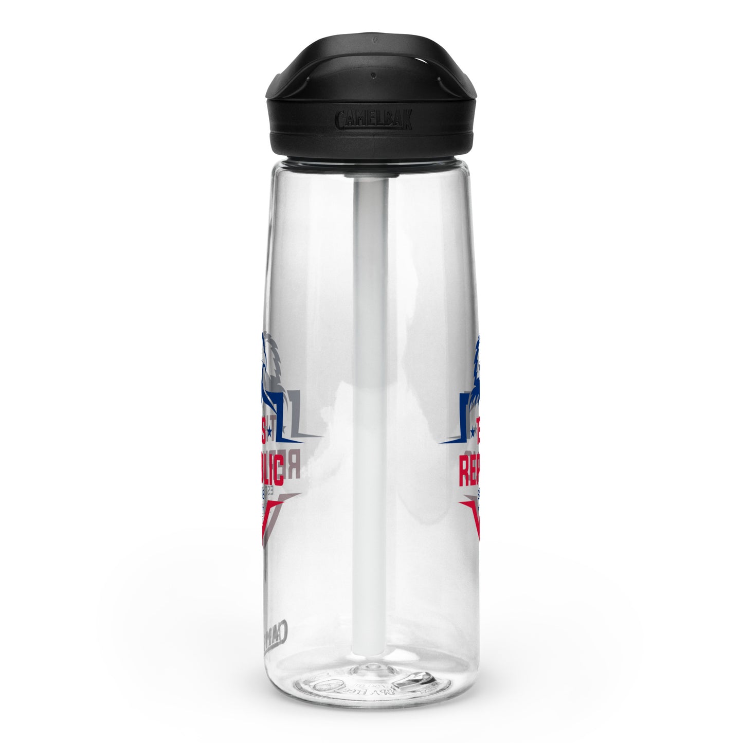 Sports water bottle